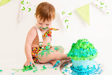 Load image into Gallery viewer, Cake Smash ~ Silver