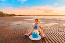 Load image into Gallery viewer, Cake Smash ~ Silver