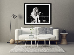 Live in Concert - Stevie Nicks 2