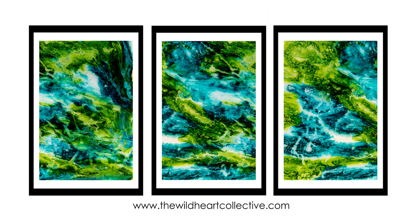 Heart of the Daintree Triptych (3 Artworks)